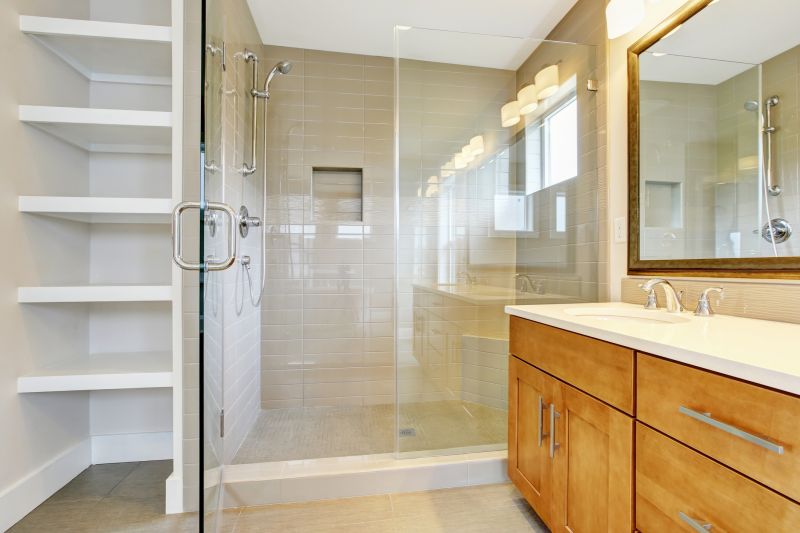 Modern Shower with Frameless Doors