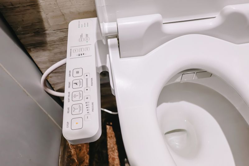 Modern Toilet and Bidet Options